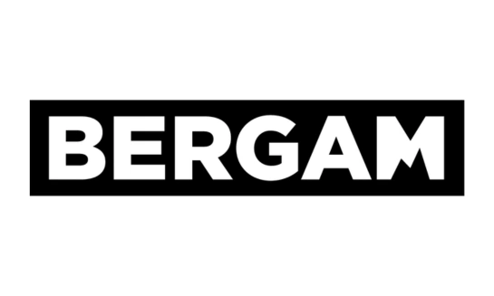 Bergam.sk logo